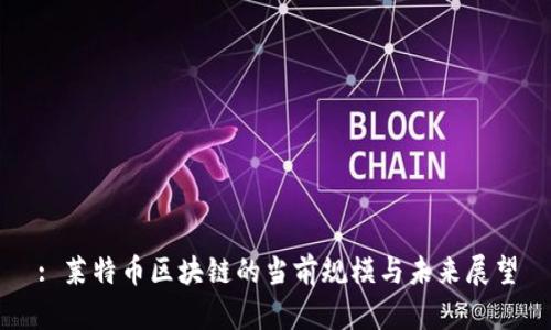 : 莱特币区块链的当前规模与未来展望