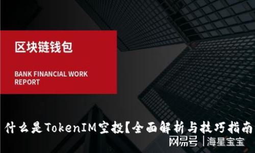 什么是TokenIM空投？全面解析与技巧指南