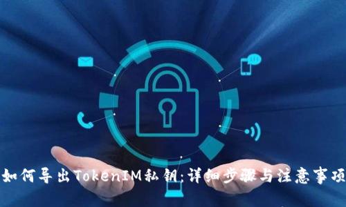 如何导出TokenIM私钥：详细步骤与注意事项