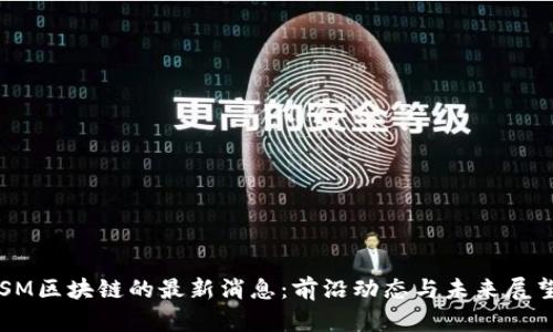 SM区块链的最新消息：前沿动态与未来展望