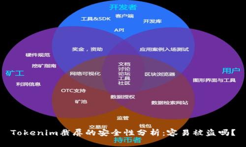 Tokenim截屏的安全性分析：容易被盗吗？