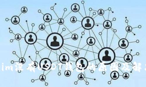 Tokenim没有USDT钱包的原因及解决方案