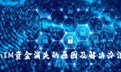 TokenIM资金消失的原因及解