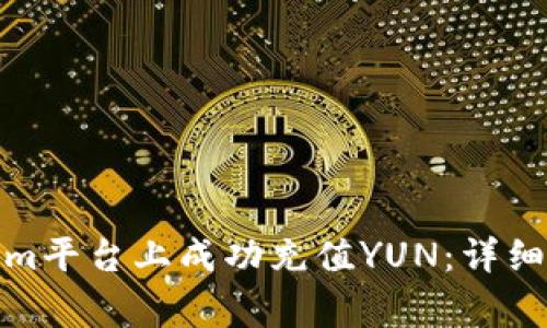 : 如何在Tokenim平台上成功充值YUN：详细指南与注意事项