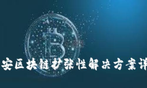 币安区块链扩张性解决方案详解