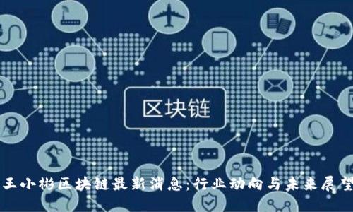 王小彬区块链最新消息：行业动向与未来展望