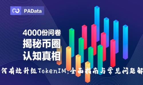 如何有效升级TokenIM：全面指南与常见问题解答