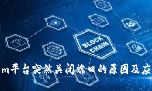 Tokenim平台突然关闭端口的原因及应对策略