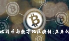 深入探讨比特币与数字化