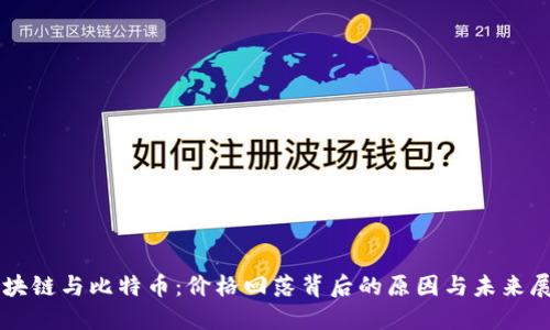 区块链与比特币：价格回落背后的原因与未来展望