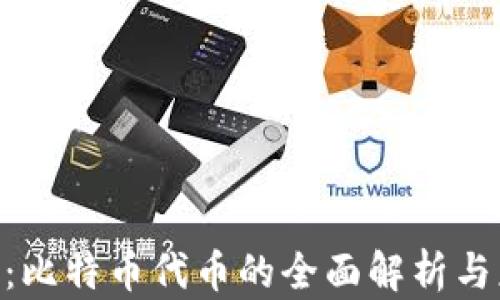 
Tokenim：比特币代币的全面解析与应用前景