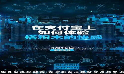 
区块链花姐最新视频解析：深度剖析区块链发展趋势与投资机会