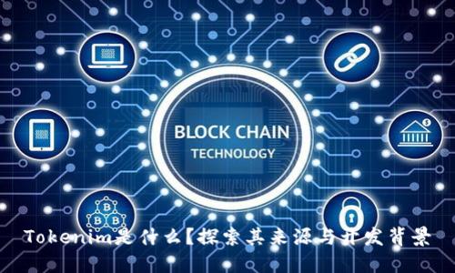 Tokenim是什么?探索其来源与开发背景