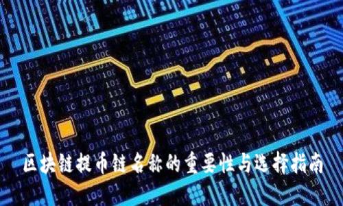 区块链提币链名称的重要性与选择指南