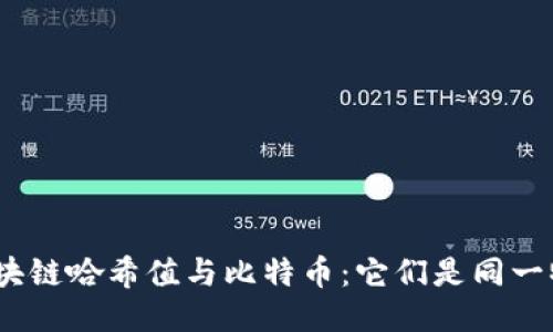 : 区块链哈希值与比特币:它们是同一物吗?