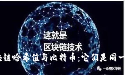 : 区块链哈希值与比特币:它们是同一物吗?