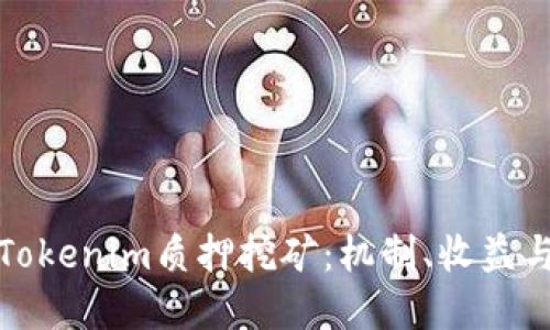 详解Tokenim质押挖矿:机制、收益与风险