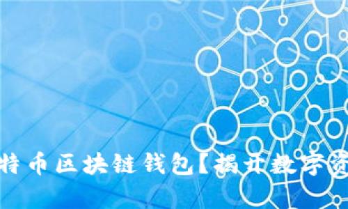 如何选择安全的比特币区块链钱包？揭开数字资产存储的神秘面纱