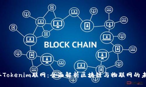 2023年Tokenim联网：全面解析区块链与物联网的未来交汇