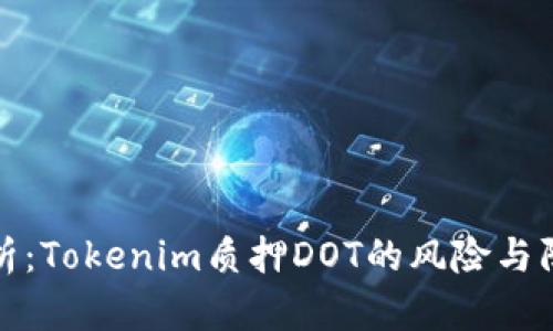 深入剖析：Tokenim质押DOT的风险与防范策略