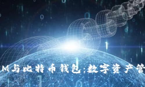 探索TokenIM与比特币钱包：数字资产管理的新选择