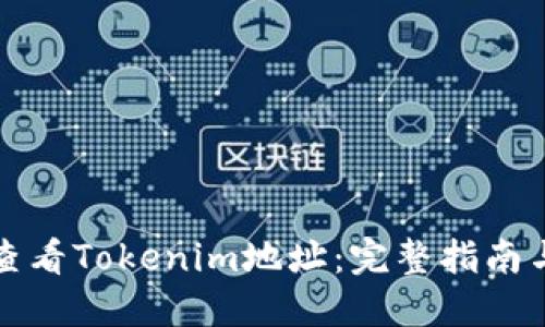 如何查看Tokenim地址：完整指南与技巧