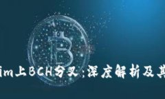 2023年Tokenim上BCH分叉：深度