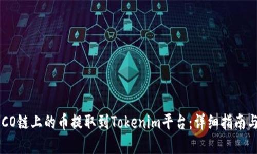 如何将HECO链上的币提取到Tokenim平台：详细指南与实用技巧