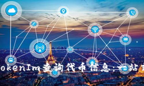 如何使用TokenIm查询代币信息：一站式解决方案
