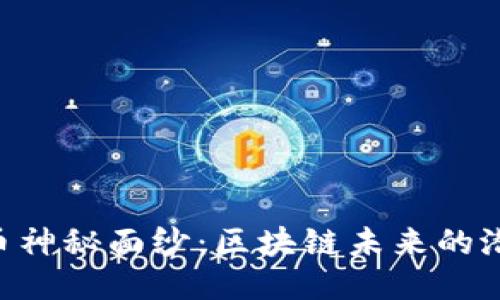 揭开DCR币神秘面纱：区块链未来的潜力与趋势