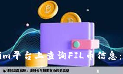 如何在Tokenim平台上查询FIL币信息：新手必读指南