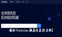 揭秘Tokenim：骗局还是潜力