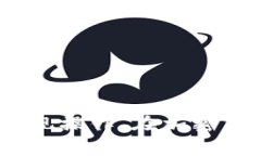   如何使用Tokenim提现：详