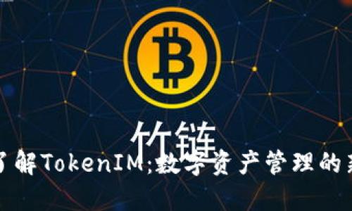 深入了解TokenIM：数字资产管理的新选择
