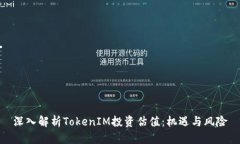深入解析TokenIM投资估值：