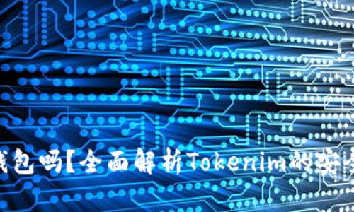 Tokenim是冷钱包吗？全面解析Tokenim的安全性与使用方式