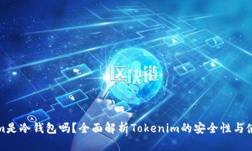 Tokenim是冷钱包吗？全面解析Tokenim的安全性与使用方式
