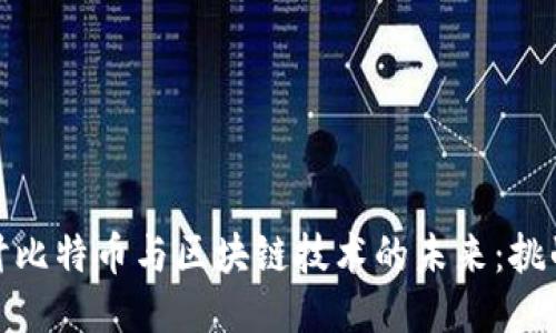 深入探讨比特币与区块链技术的未来：挑战与机遇