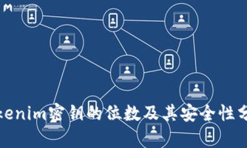 Tokenim密钥的位数及其安全性分析