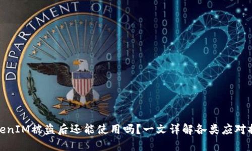 TokenIM被盗后还能使用吗？一文详解各类应对措施