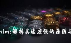 Tokenim：解析其速度慢的原因与方案